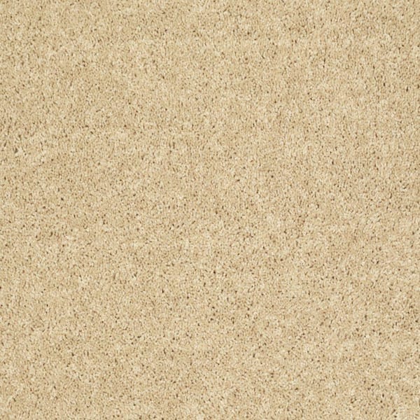 TrafficMaster Palmdale I - Lavish Bronze - Brown 17.6 oz. Polyester Texture Installed Carpet