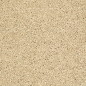 Palmdale II - Lavish Bronze - Brown 31.2 oz. Polyester Texture Installed Carpet