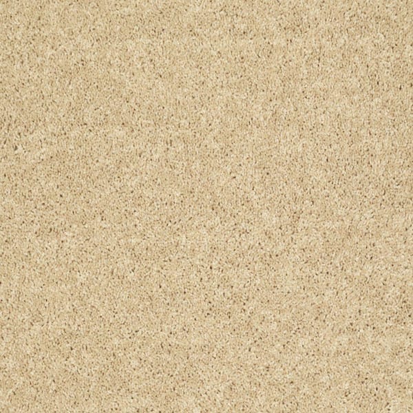 TrafficMaster Palmdale II - Lavish Bronze - Brown 31.2 oz. Polyester Texture Installed Carpet