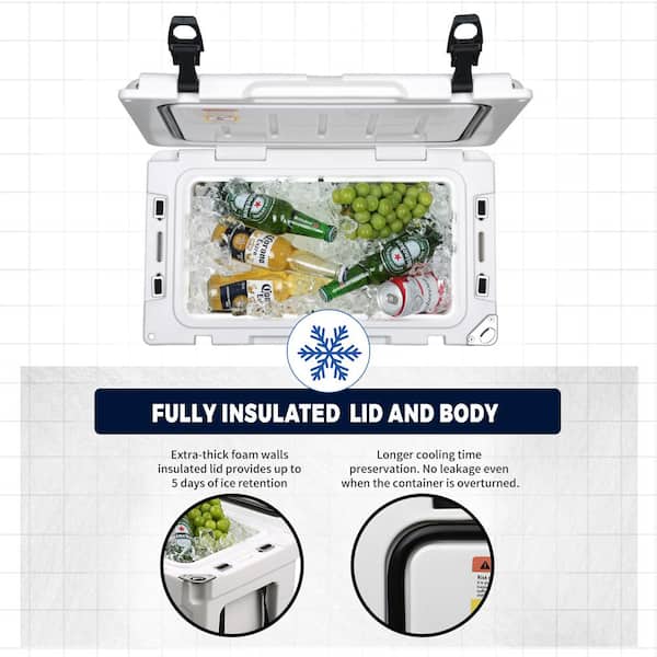 Cool Box isolato Food Box isolato Hot Box/Freezer Box Cooler