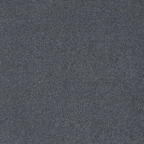 Lifeproof Appreciate II  - Royalty - Blue 58 oz. Triexta Texture Installed Carpet