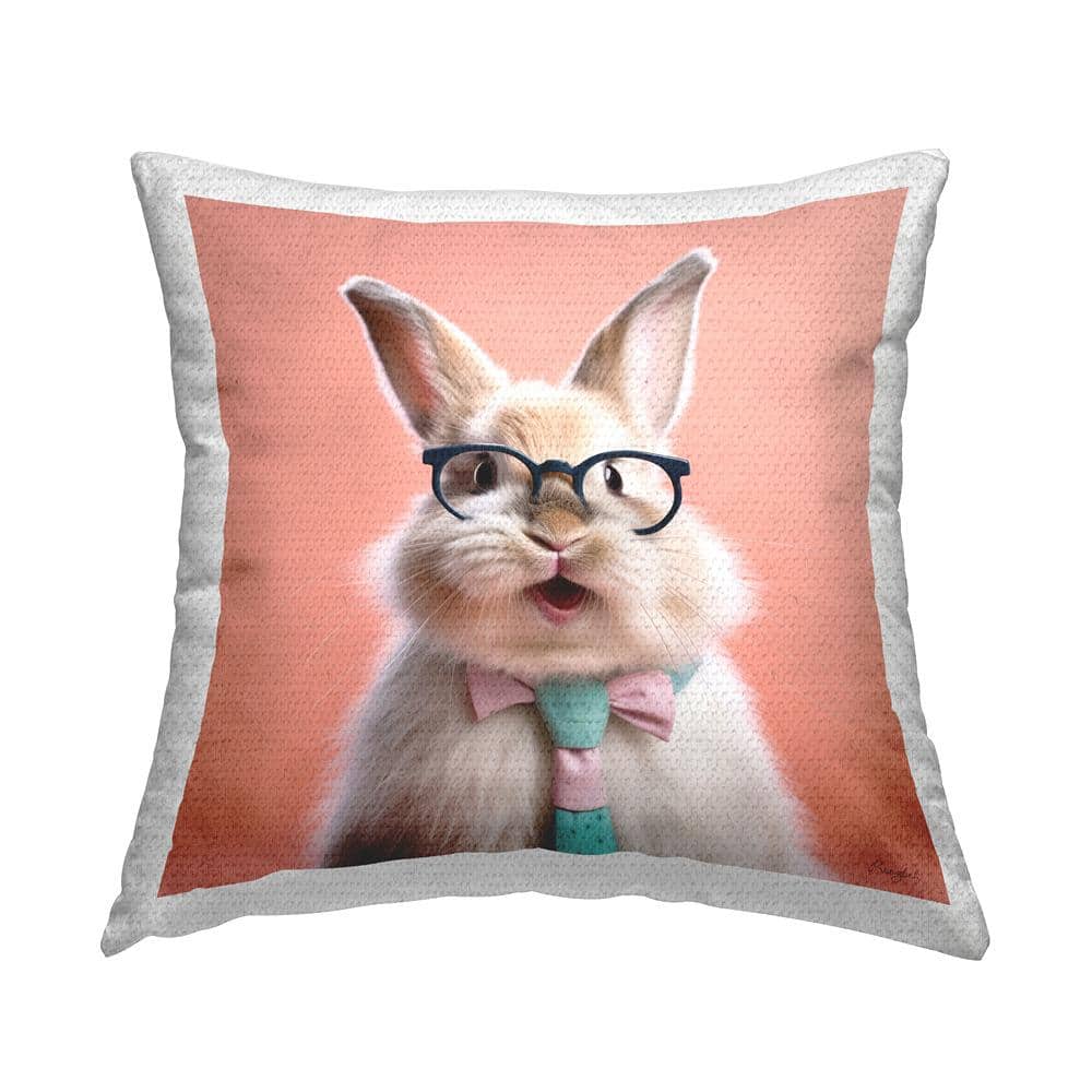 Rabbit Wearing Tie Pink Square Outdoor Throw Pillow price history on PriceWatchPro