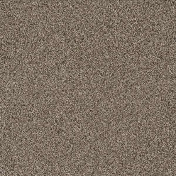 Meringue II-Toasted Beige-54 oz. SD Polyester Texture Carpet - Installation Required