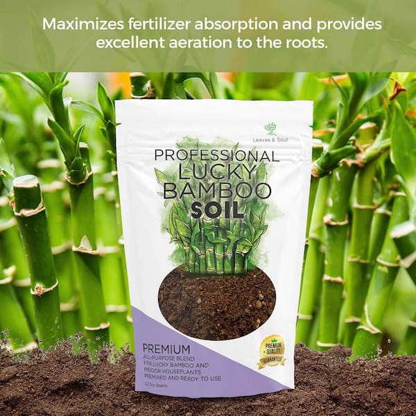 LEAVES AND SOUL Professional Lucky Bamboo Soil, 2.2 qt., Ready to Use, Peat  Moss, Coco Coir, Perlite, Dolomite, B0C5N82MD4 - The Home Depot