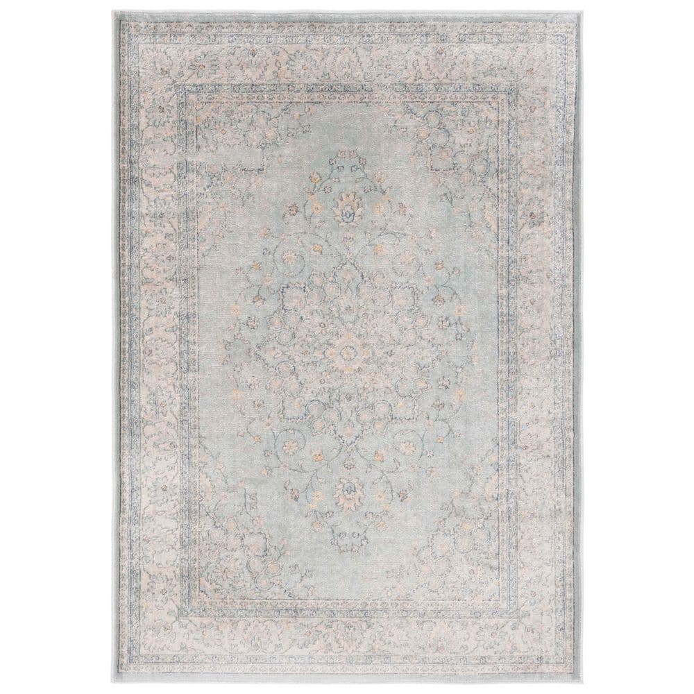 Vintage 3 ft. x 4 ft. Light Blue/Gray Medallion Border Area Rug price history on PriceWatchPro