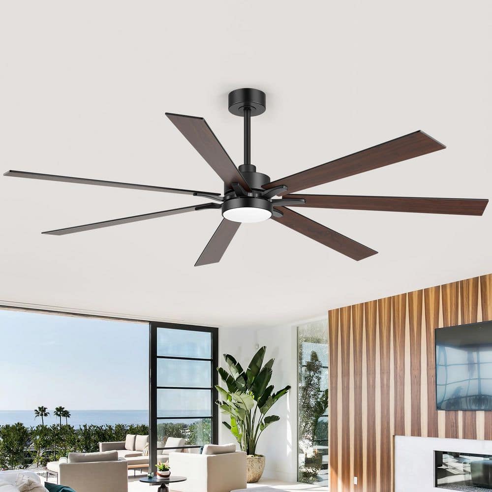 ceiling-fans-with-lights-32005