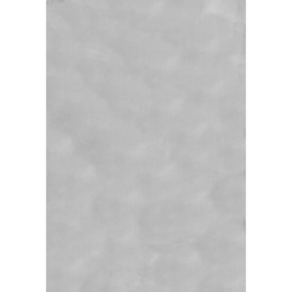 nuLOOM Layne Soft Silky Faux Rabbit Fur Light Gray 4 ft. x 6 ft. Indoor Area Rug