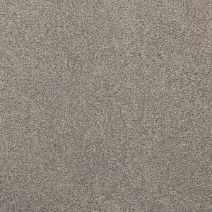 Plush Dreams II - Sweet-Brown 12 ft. 53 oz. Triexta Texture Installed Carpet