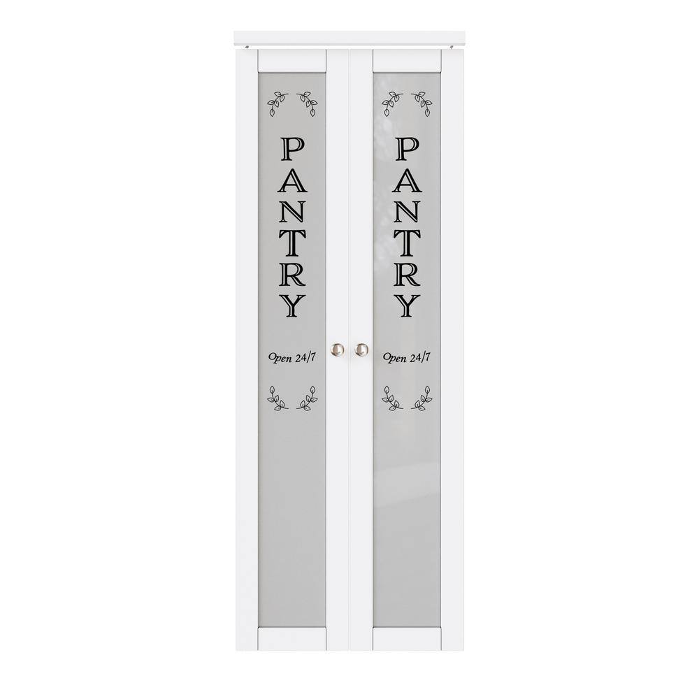 30in x 80in White MDF Pivot Door with Frosted Glass