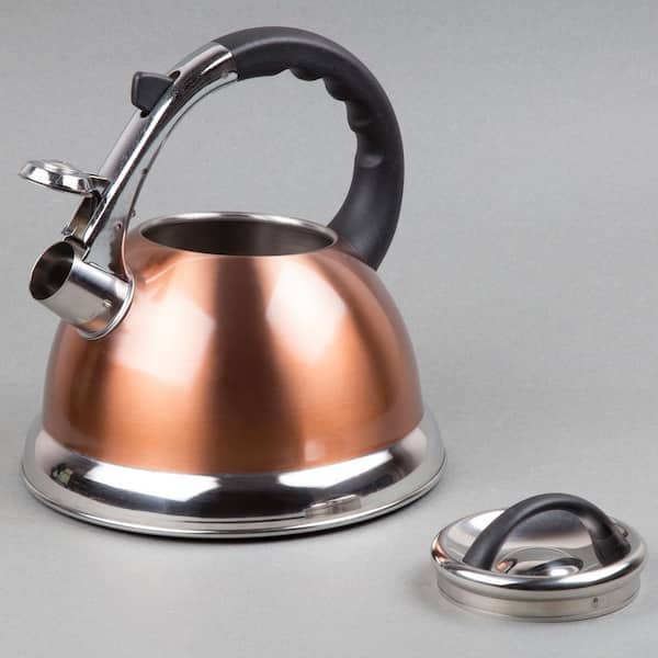 Sphere 3.0 Quart Stainless Steel Whistling Tea Kettle with Brushed Fin –  Creative Home