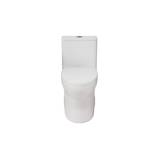 12 in. 1-Piece 1.1/1.6 GPF Dual Flush Elongated Toilet in White Soft Close Seat Included