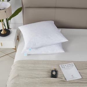100% Cotton Euro-Square Firm Feather Pillow (2-Pack)