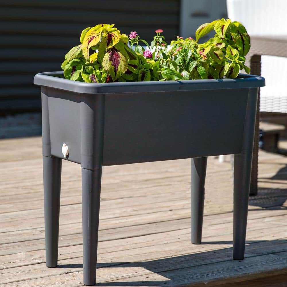 Gray Plastic Self-Watering Raised Garden Bed with Cloche Cover