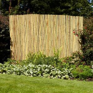 6 ft. H x 8 ft. W Natural Bamboo Fence