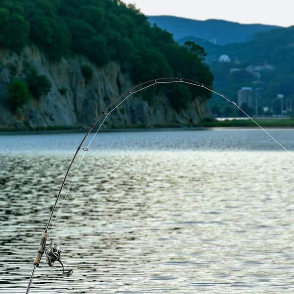 amazon shimano spinning rods Shimano Expired B Spinning Rod
