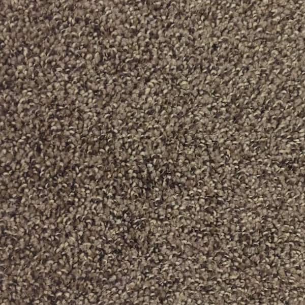 TrafficMaster Mystic - Color Coffee Bean Indoor 12 ft. Twist Multi-Colored Carpet