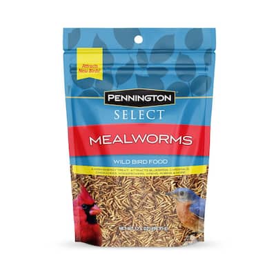 17.6 oz. Select Mealworms Wild Bird Food