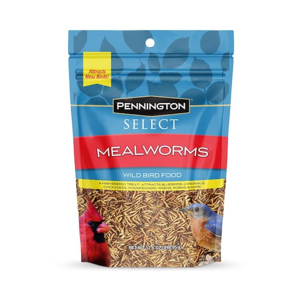 Pennington 17.6 oz. Select Mealworms Wild Bird Food