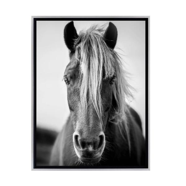 Stratton Home Decor Black and White Wild Horse Framed Canvas Wall Art ...