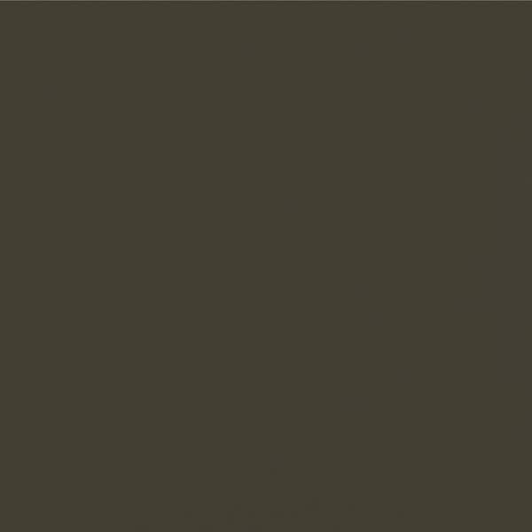 James Hardie Magnolia Home Hardie Panel HZ10 48 in. x 120 in. Fiber Cement Smooth in Wandering Green Panel