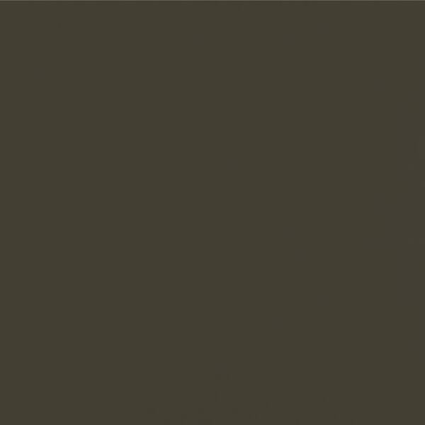 James Hardie Magnolia Home Hardie Panel HZ10 48 in. x 120 in. Fiber Cement Smooth in Wandering Green (50-Pack)