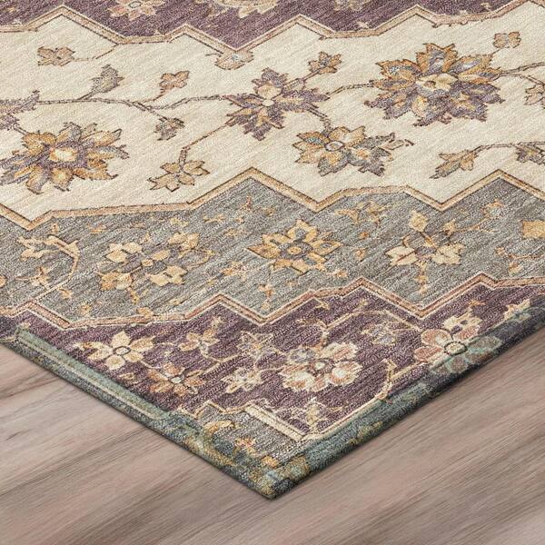 Chantille Machine Washable Indoor/Outdoor Abstract ACN3134 Plum 3 ft. x 5 ft. Area Rug