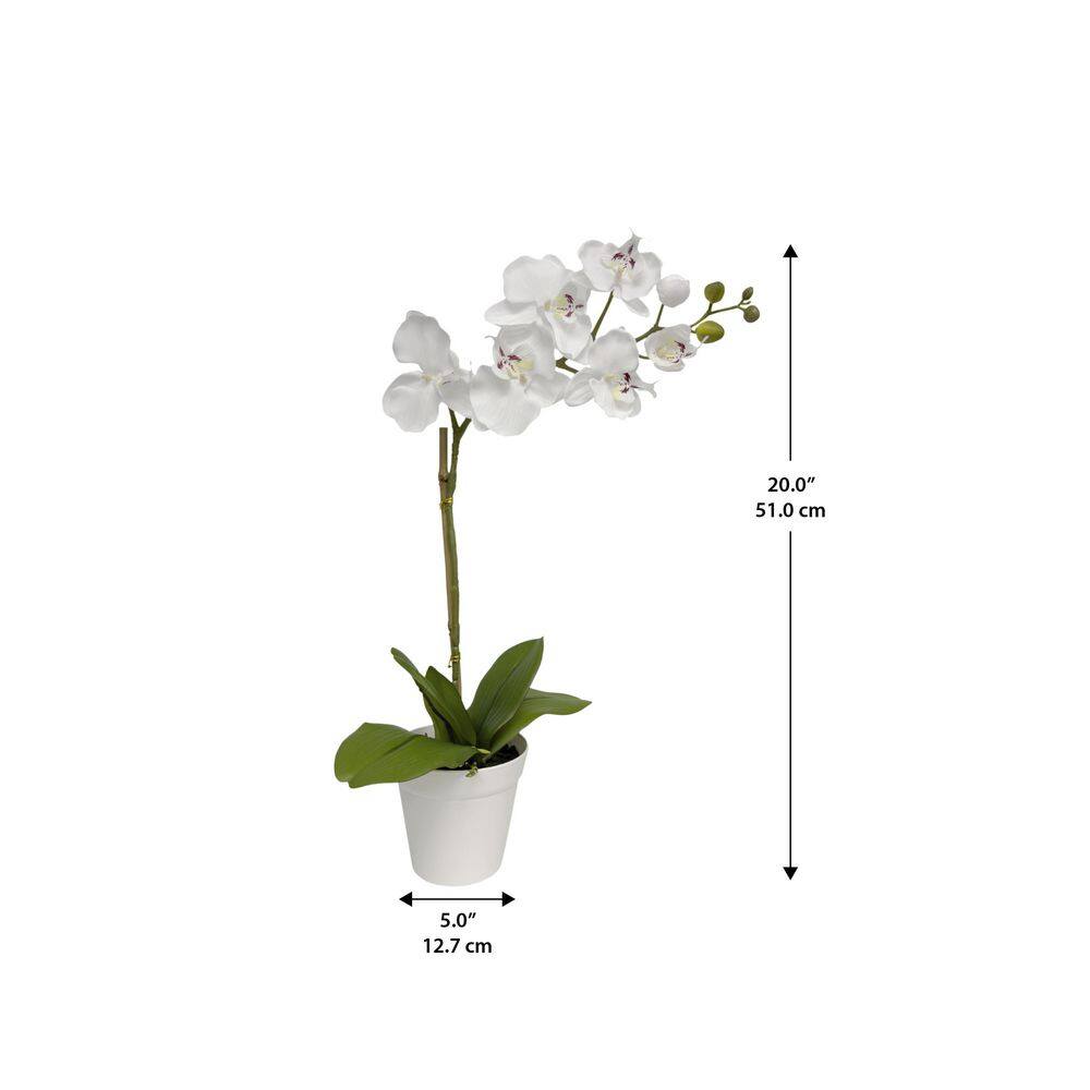 47'' White Silk Orchid in Plastic Pot