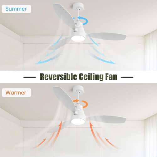 52 in. Indoor White Ceiling Fan with Light, Dimmable, Quiet Reversible DC Motor, 3-Colors Adjustable and Remote Lighting