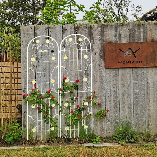 Cesicia 71 in. H White Metal Rustproof Trellis for Climbing Plants Outdoor Flower Support (4-Pack)