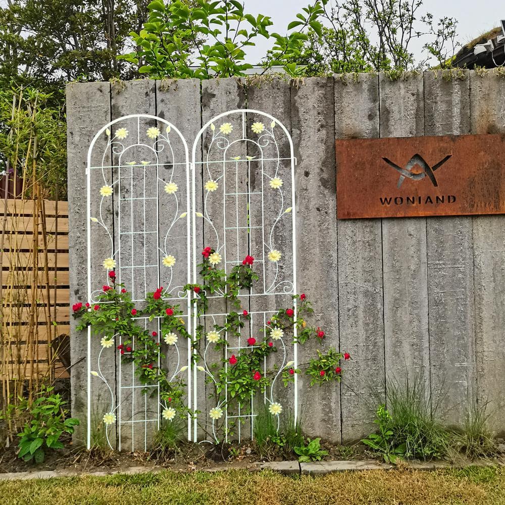 花卉8 8 Avenue Florist