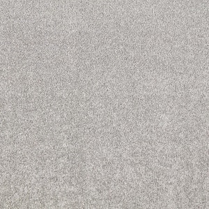 Silver Mane I  - Dover Cliffs - Gray 50 oz. Triexta Texture Installed Carpet