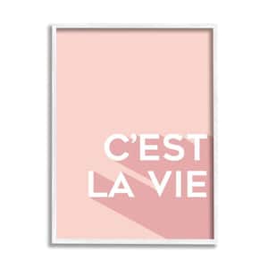 C'est La Vie French Phrase Pink Pop Typography By Anna Quach Framed Print Abstract Texturized Art 11 in. x 14 in.