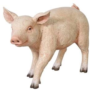 16.5 in. H Piglet Porker Baby Hog Sculpture