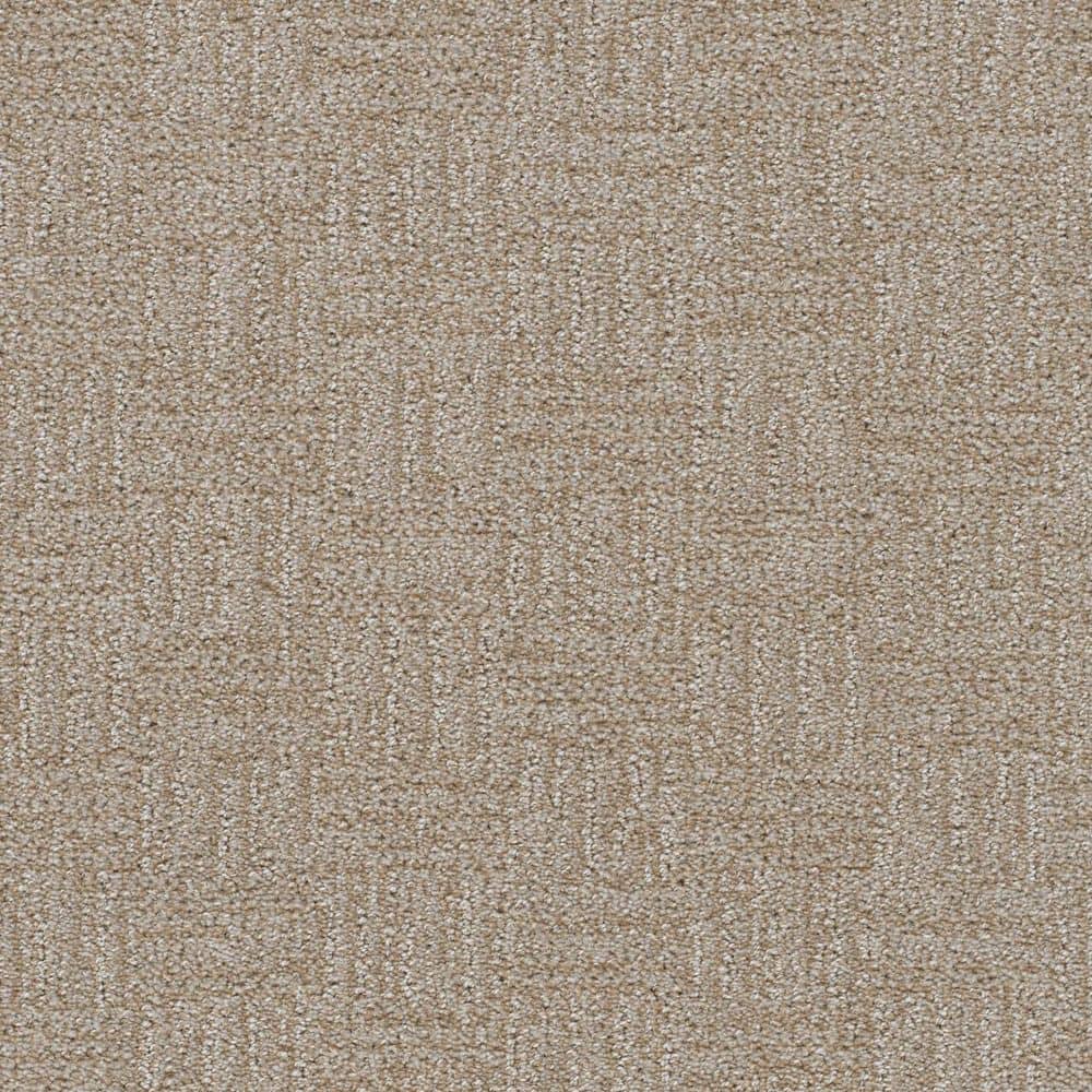 8 in. x 8 in. Pattern Carpet Sample - Nestled Nooks - Color Shelter price history on PriceWatchPro