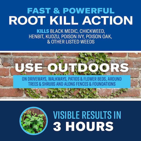 1.3 Gal. Ready to Use Weed and Grass Killer