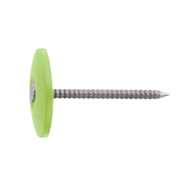 Everbilt 11/2 in. x 12D ElectroGalvanized Plastic Cap NonCollated