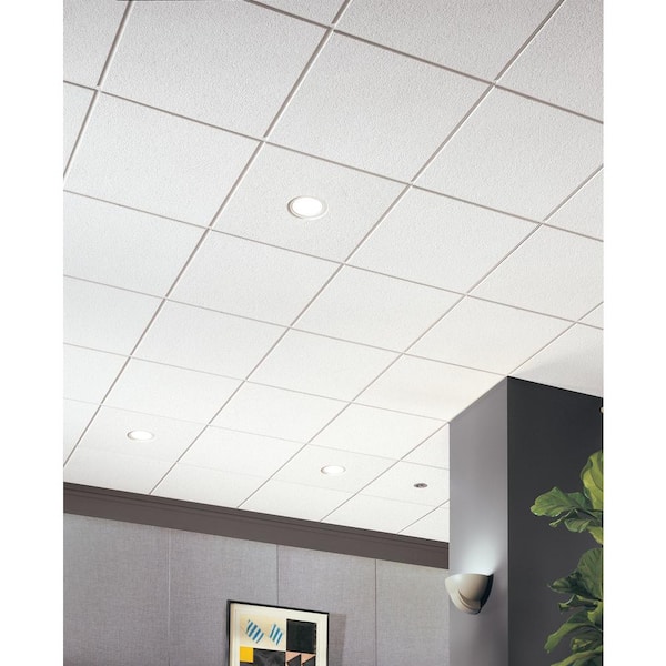 Cirrus 2 ft. x 2 ft. Tegular Ceiling Tile (48 sq. ft. / Case)