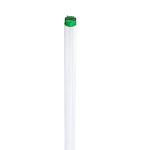 15-Watt 18 in. Linear T8 ALTO Fluorescent Tube Light Bulb Daylight Deluxe (6500K)