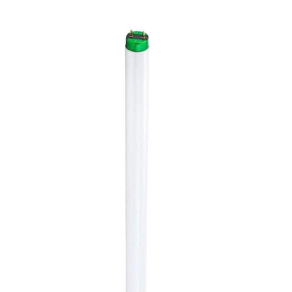 Philips 15-Watt 18 in. Linear T8 ALTO Fluorescent Tube Light Bulb Daylight Deluxe (6500K) (1-Pack)