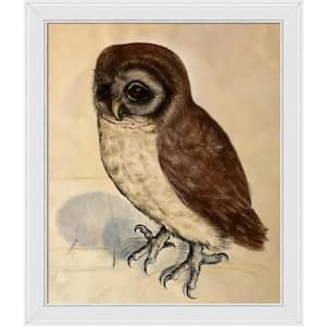 The Little Owl by Albrecht Durer Galerie White Framed Animal Oil Painting Art Print 24 in. x 28 in.