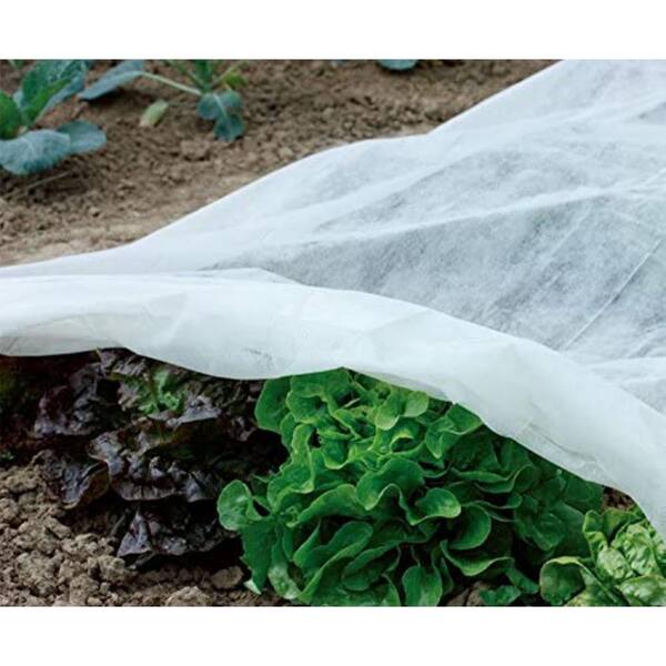 Fabric for Frost Protection Harsh Weather Resistance& Seed Germination Agfabric Warm Worth Floating Row Cover & Plant Blanket 