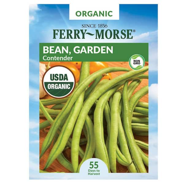 Organic Bean Contender Fruit Seed