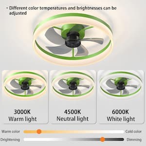 Semi Flush Mount 19.7 in. LED Dimmable Indoor Green Ceiling Fan with Remote, 5-Blades and 6-Speed