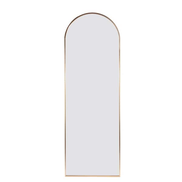 Tidoin 22 in. W x 65 in. H Oval Framed Hook Wall Bathroom Vanity Mirror in Gold