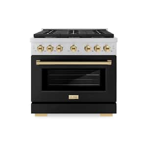 Paramount 36 in. 6-Burner Dual Fuel Range with Convection Oven in Stainless Steel, Matte Black, and Polished Gold