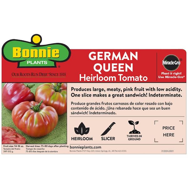 19 oz. German Queen Heirloom Tomato Plant