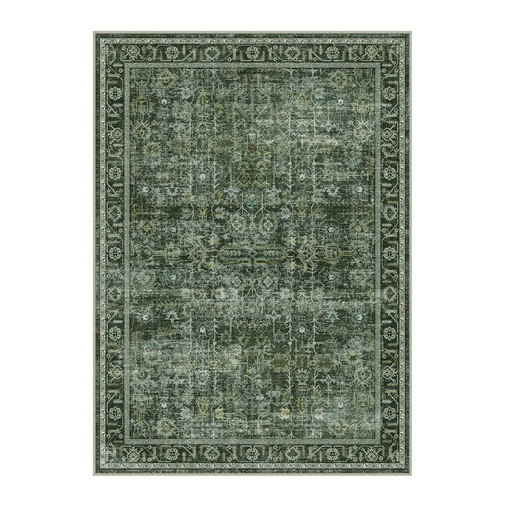 Bursch Green 5 ft. x 7 ft. Distressed Vintage Floral Area Rug price history on PriceWatchPro