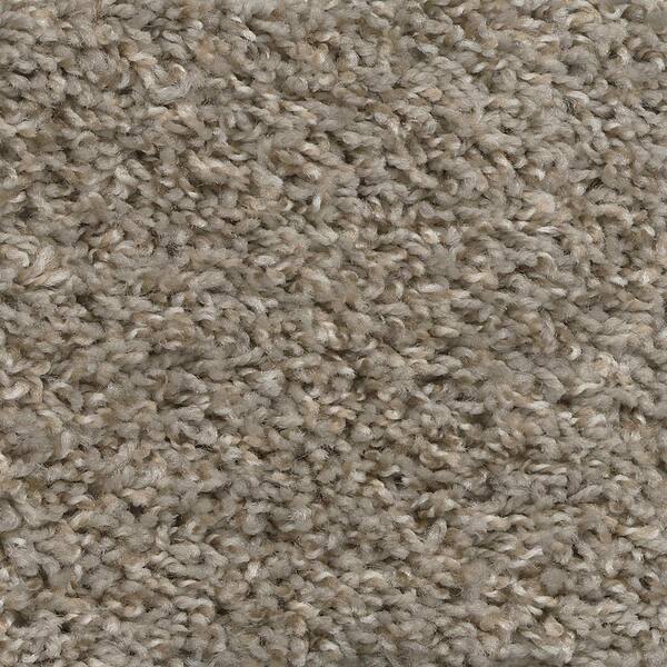 TrafficMaster 8 in. x 8 in. Texture Carpet Sample - Lucky II -Color ...