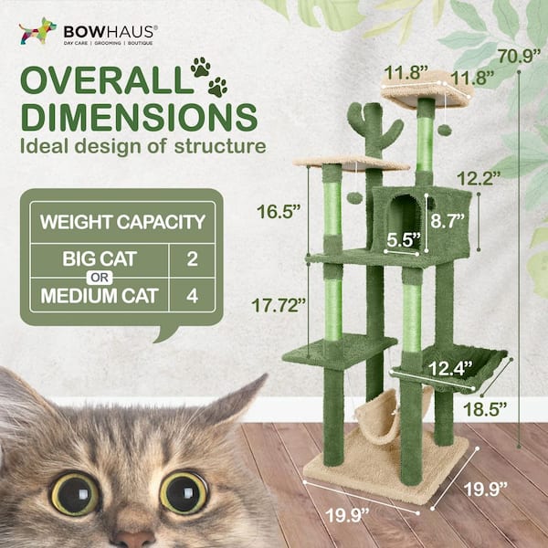 BOWHAUS 70 in. Cactus Cat Tower for Indoor Cats, Cute Small Cactus Cat Tree  with Widened Perch PHFC-BH672002-GR