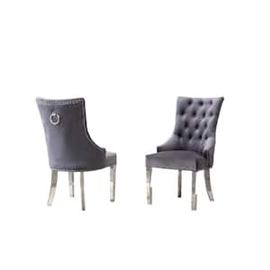Sam Dark Gray Velvet Stainless Steel Legs Chairs (Set of 2)